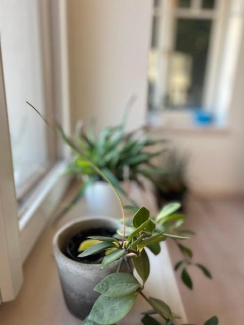 יאבלונק נאד ניסו Vila Bellevue מראה חיצוני תמונה